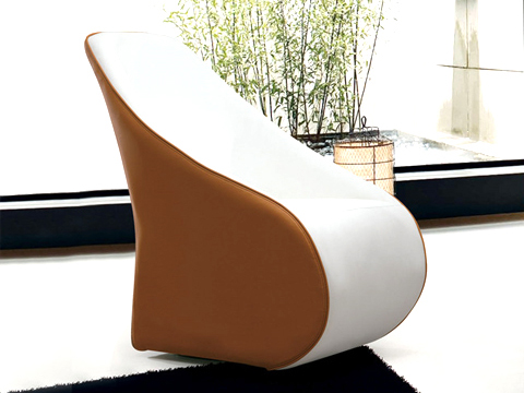 Leisure Chairs
